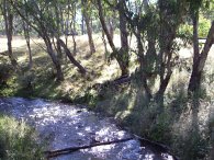 Little Styx River, near New
      England National Park, New England, NSW, Australia